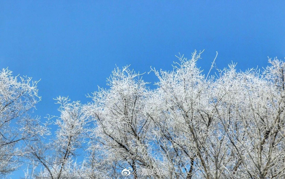 来自初见雪南方人的沈阳六天五夜全攻略