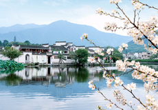 宏村景区+西递一日游【含中餐/市区免费接送,可送北站/纯玩无购物】