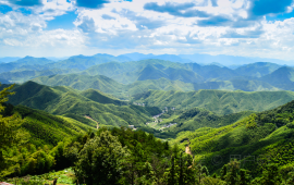 莫干山莫干山风景名胜区天气预报 历史气温 旅游指数 莫干山风景名胜区一周天气预报 携程攻略