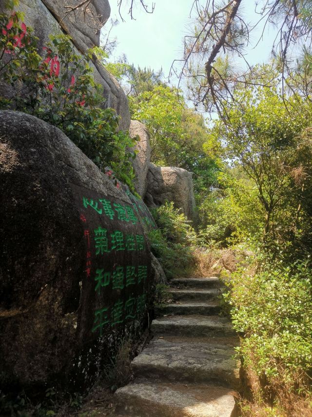 黄花山森林公园