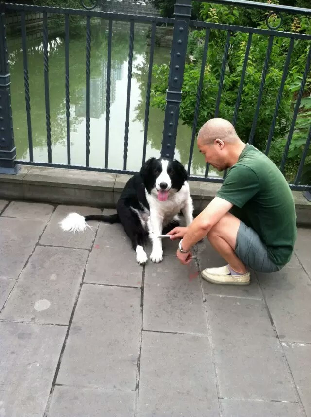 成都逛吃全攻略(附1-4天大成都游玩路线) - 成都