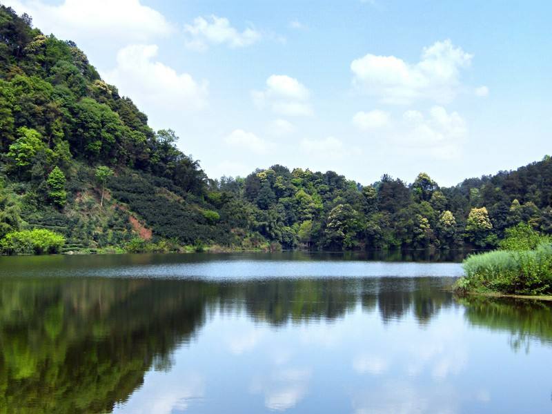 蒲江县朝阳湖白鹭生态自然保护区