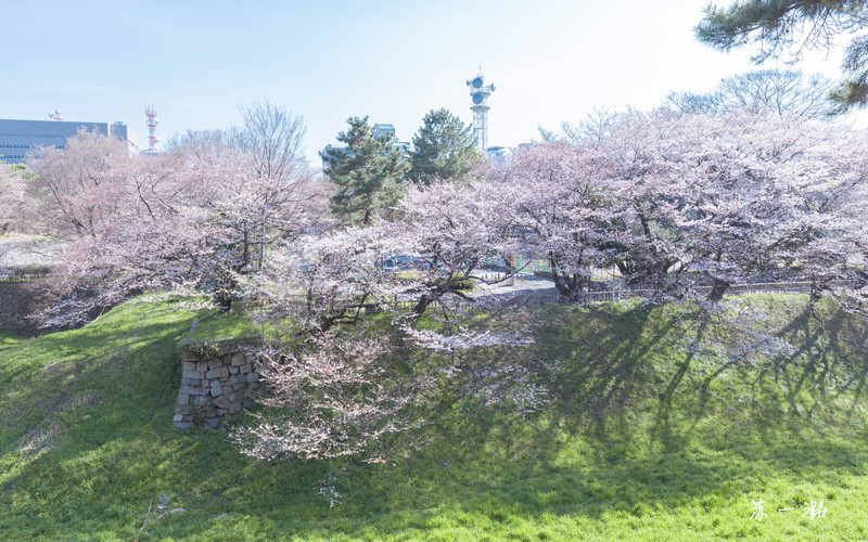 猎艳行动 日本升龙道樱花之旅 名古屋 高山 白川乡 金泽 金泽城 攻略游记 途牛