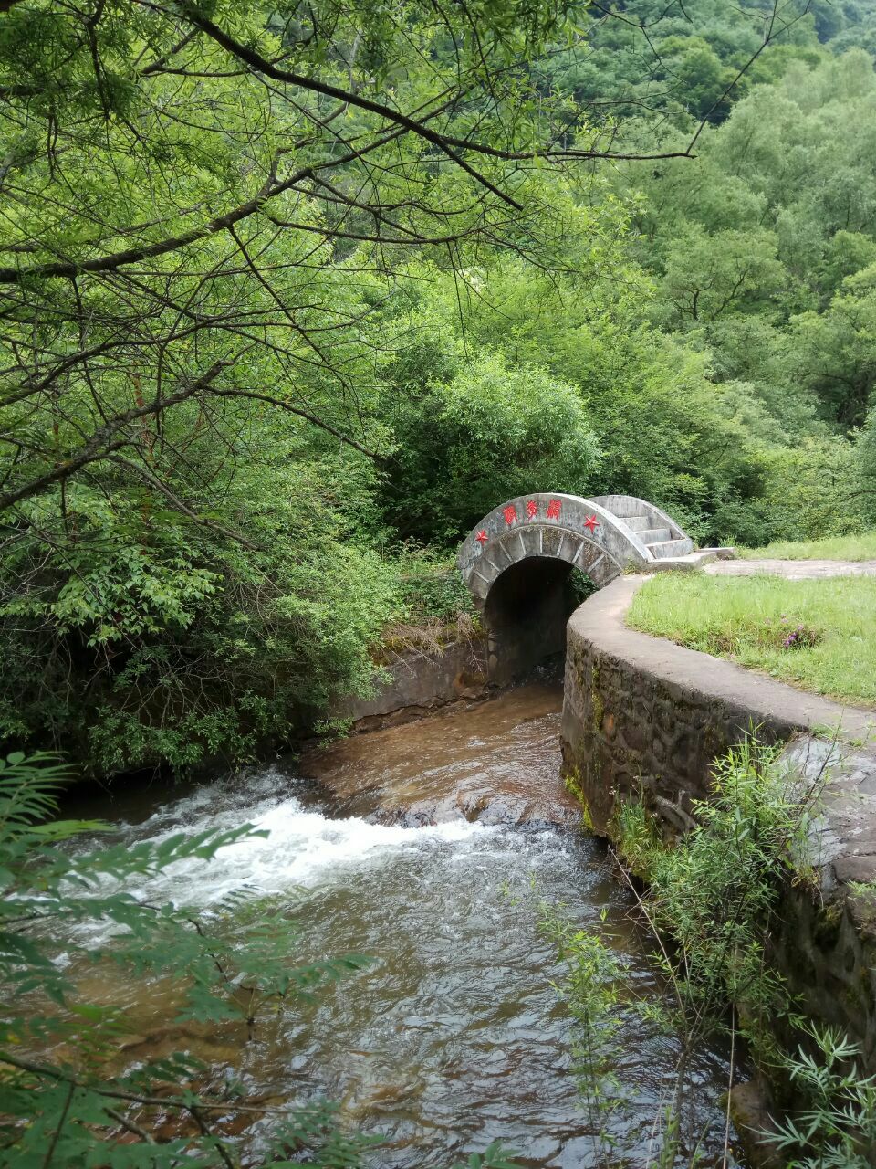 六盘山生态植物园-凉亭