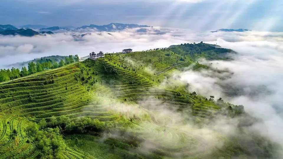 茂兰喀斯特森林保护区