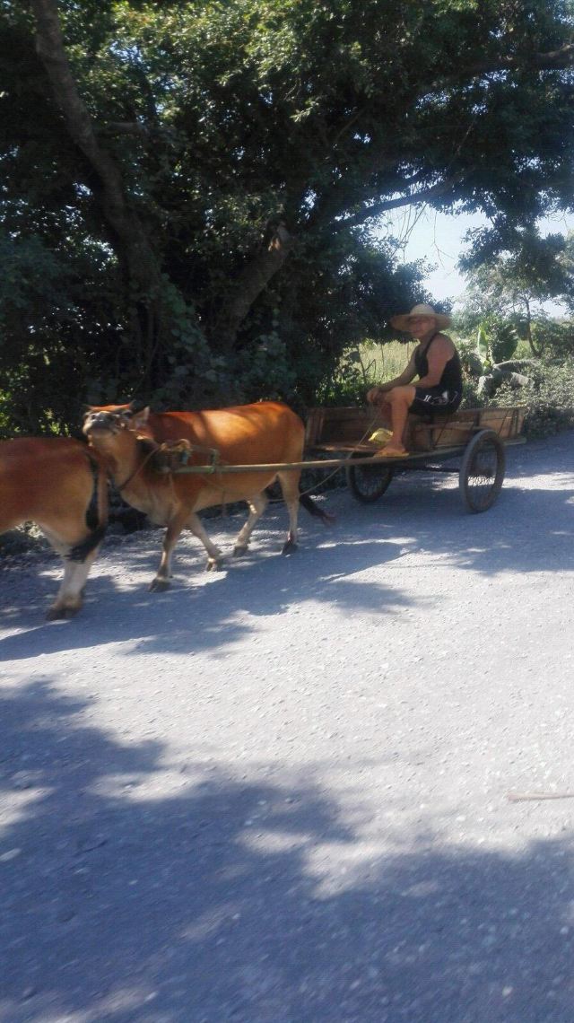 从太湖到北海之滨——广西北海