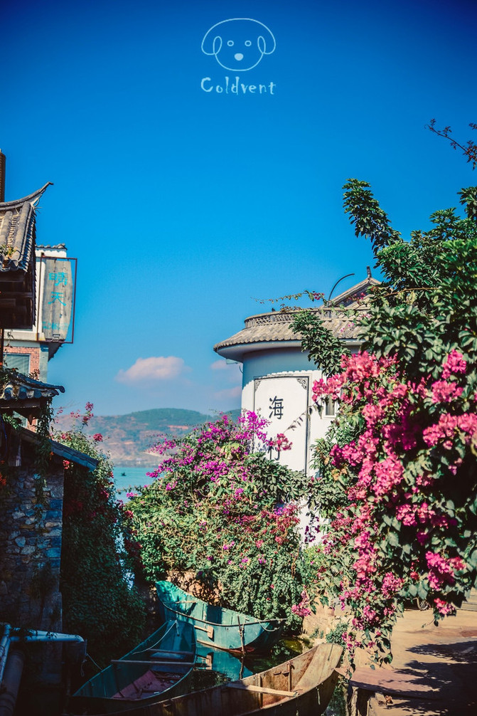 (海量美图)云南11日深度游 赴一场大自然的盛宴 云南旅游攻略