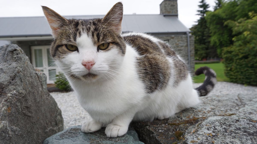 皇后镇 剑镇 新西兰南岛之旅 2017年2月