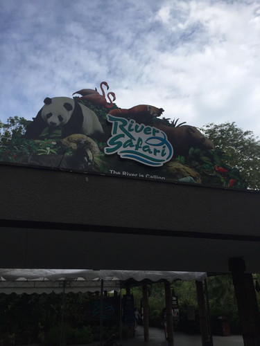                  继续河川动物园