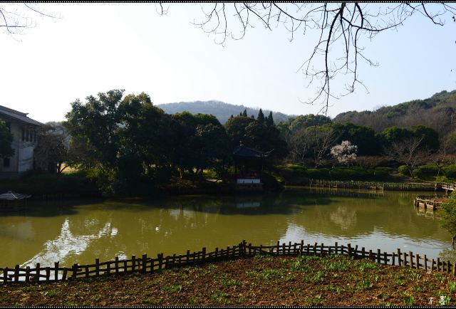 宍粟市播州山崎花菖蒲园攻略 宍粟市播州山崎花菖蒲园门票 游玩攻略 地址 图片 门票价格 携程攻略