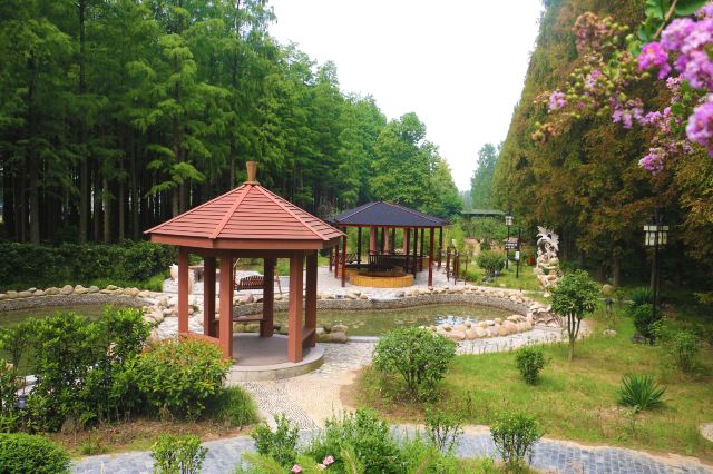 洪泽湖湿地温泉度假村