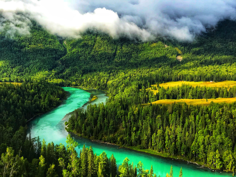 100u0w000000k6t682084_R_800_10000_Q90.jpg?proc=autoorient