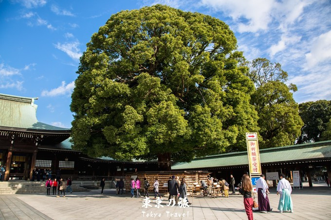 我在日本的旅行,【东京】【镰仓】9天8晚de旅行.