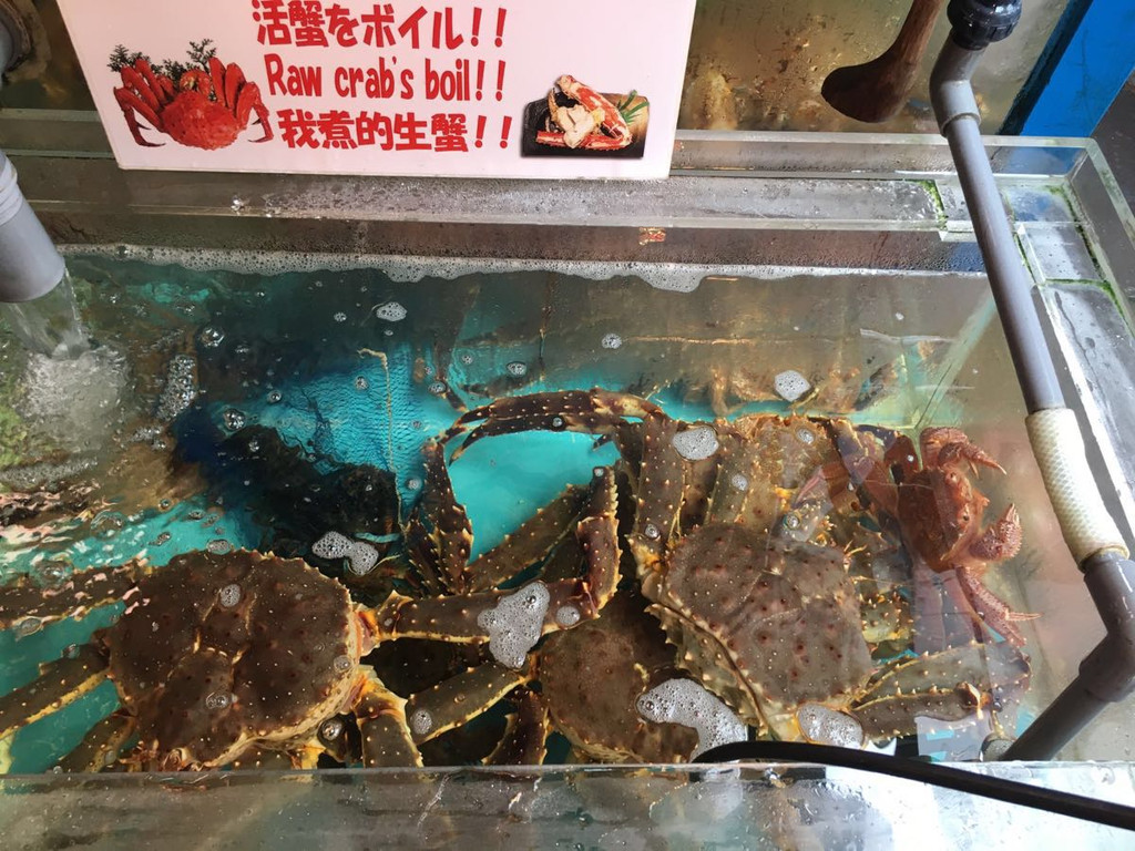 霓虹国14天—东京-镰仓-箱根-清水