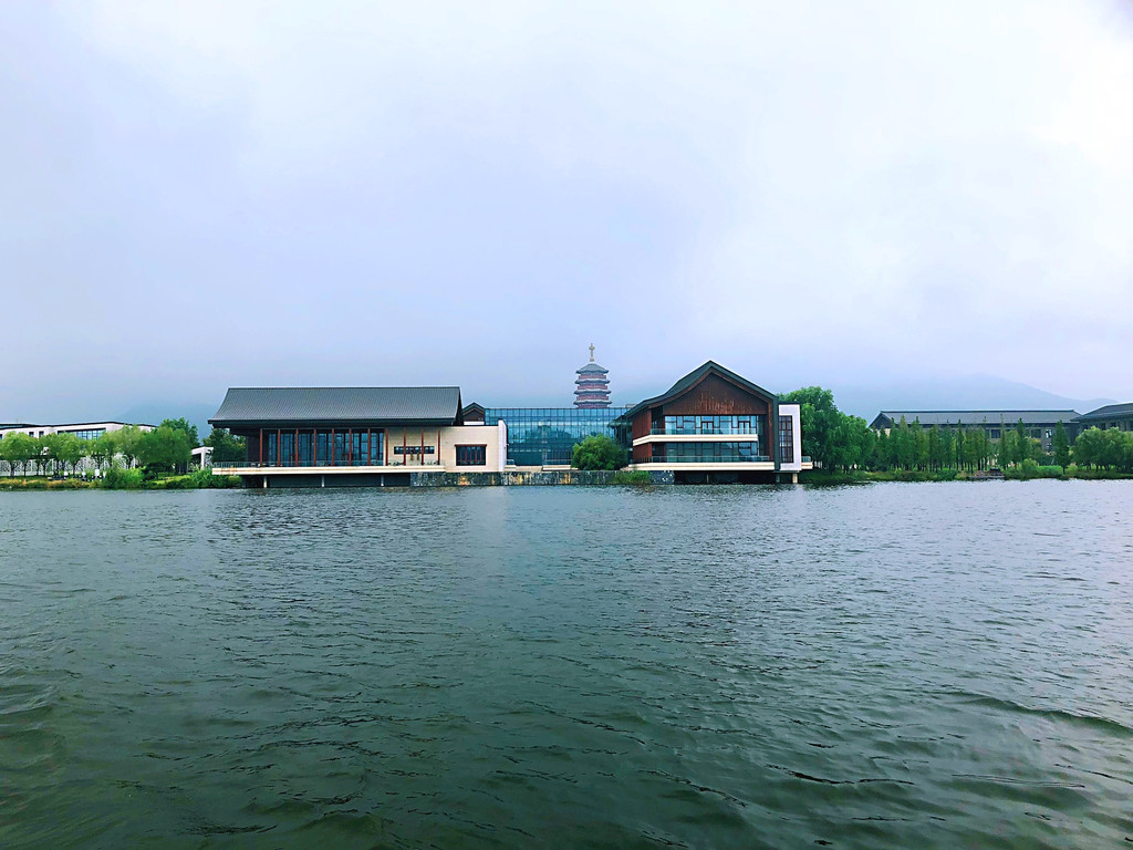 燕山脚下雁栖岛,大雁成群风光好!