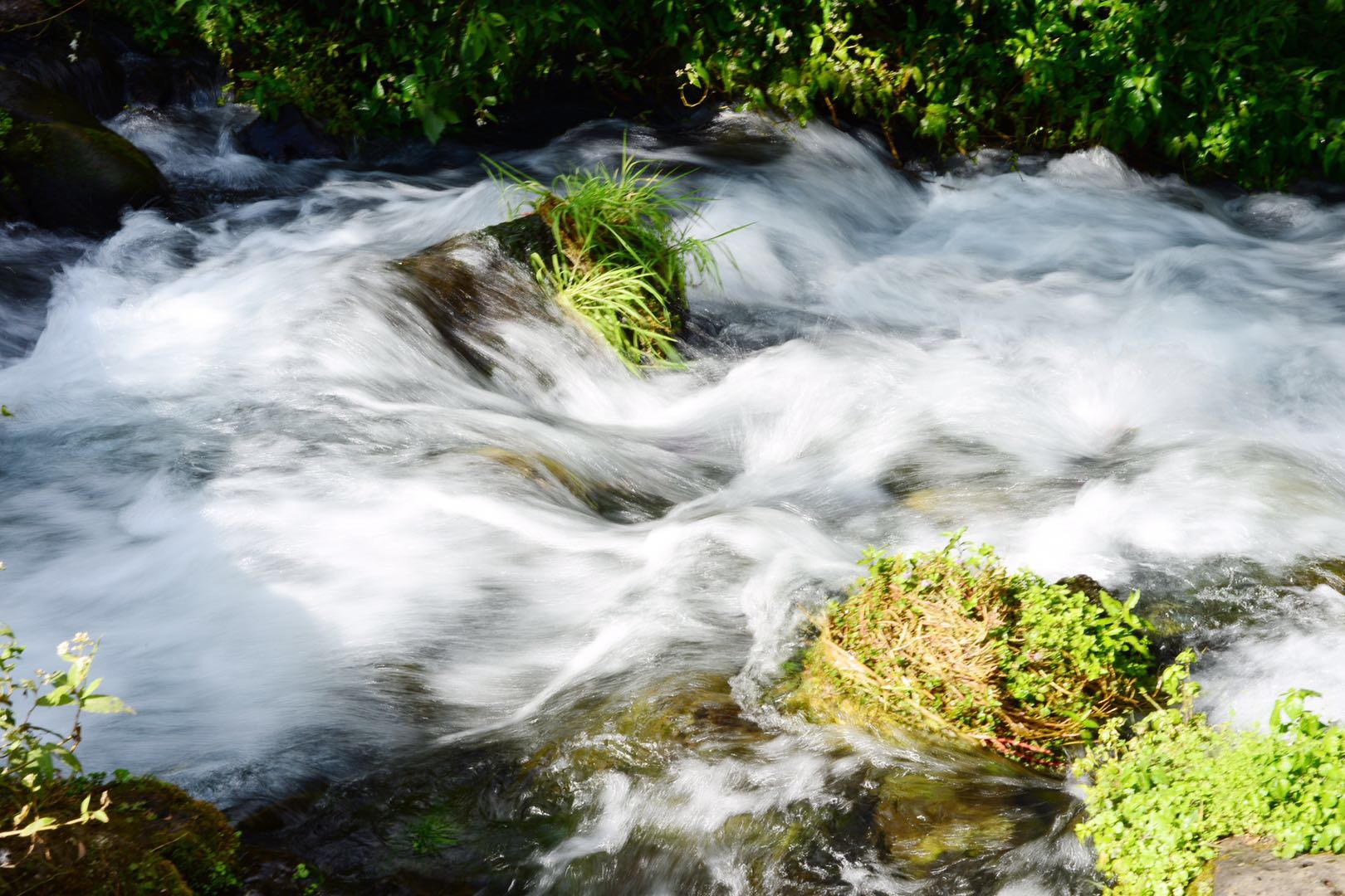 黑水河