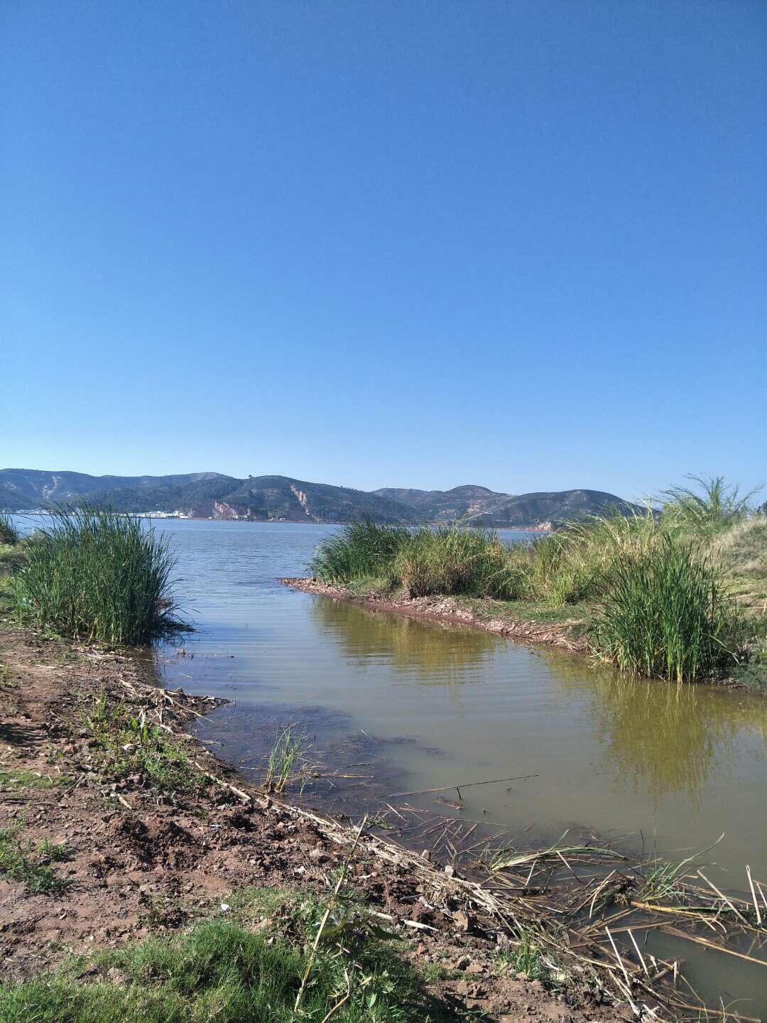 江口鸟洲自然保护区