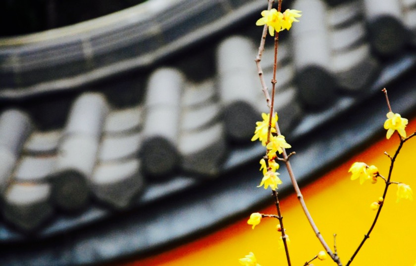 松柏寺