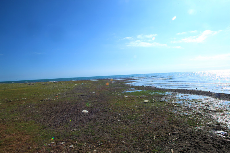 青海有多少人口_青海有多少河流 多少湖泊 作为青海人你必须了解(2)