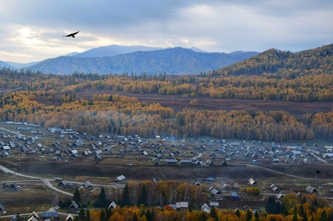 100w160000010dvlp3CF8_R_800_10000_Q90.jpg?proc=autoorient