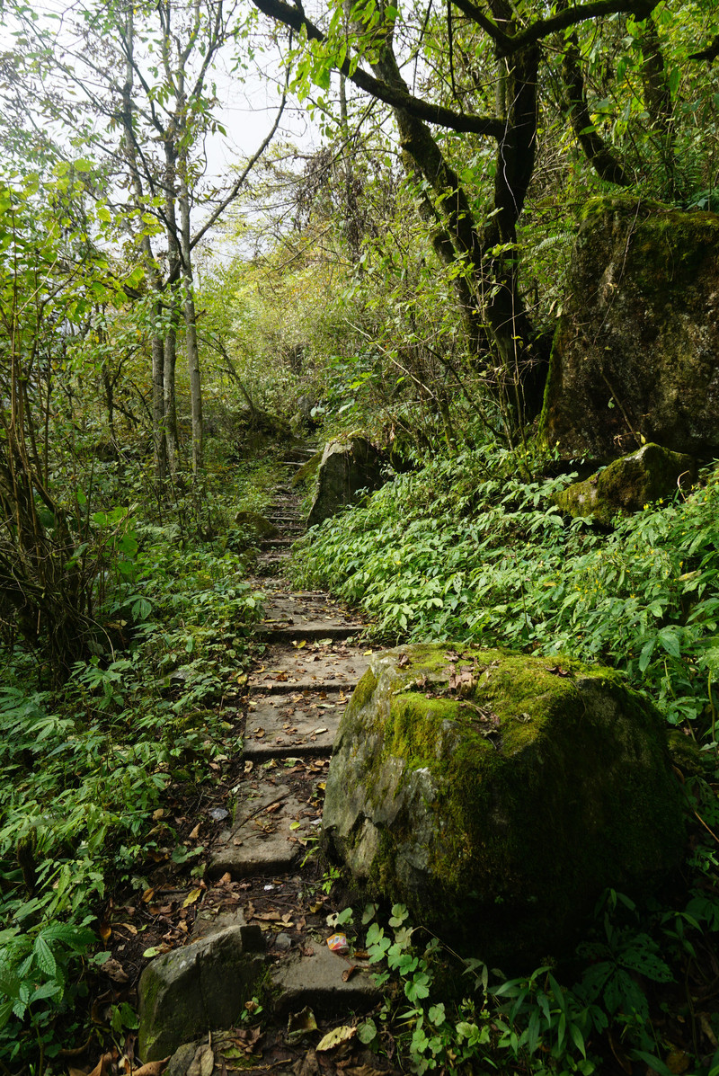 100w190000017dq0v2A28_R_800_10000_Q90.jpg?proc=autoorient