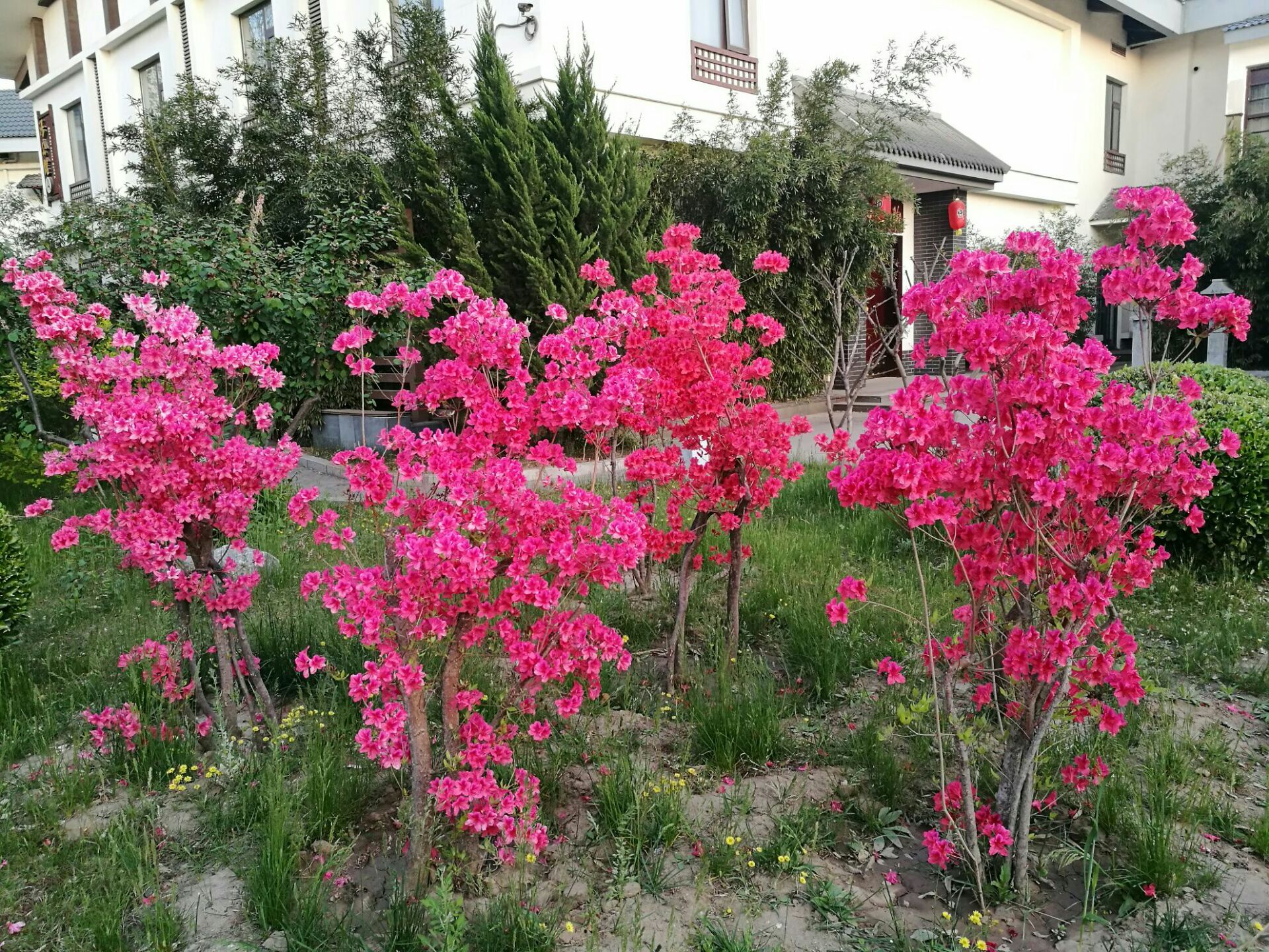 国御温泉度假小镇-会议区