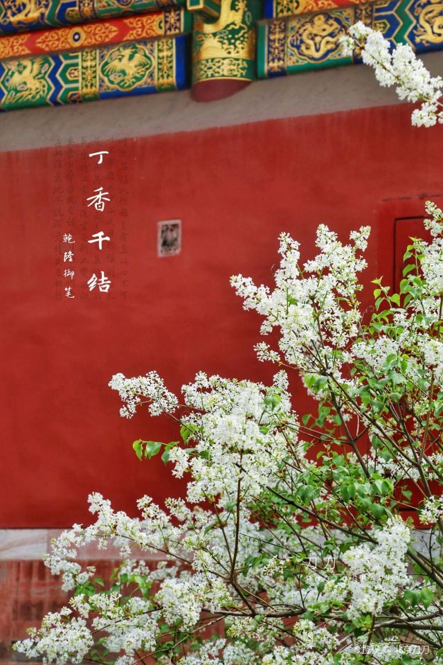 武英殿(书画馆)