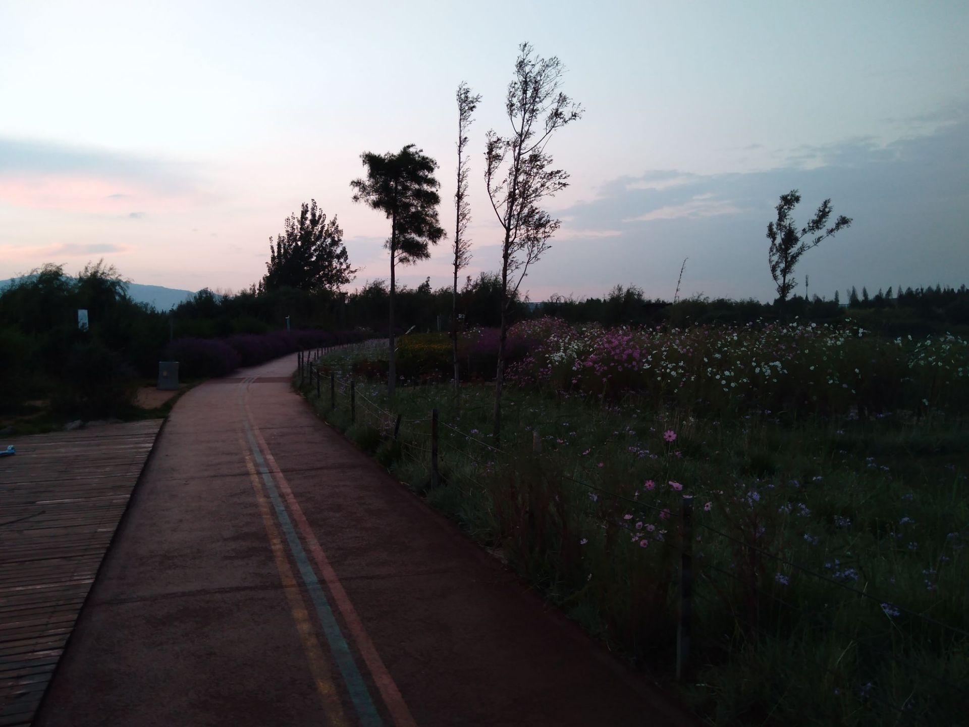 宝象河入湖口湿地