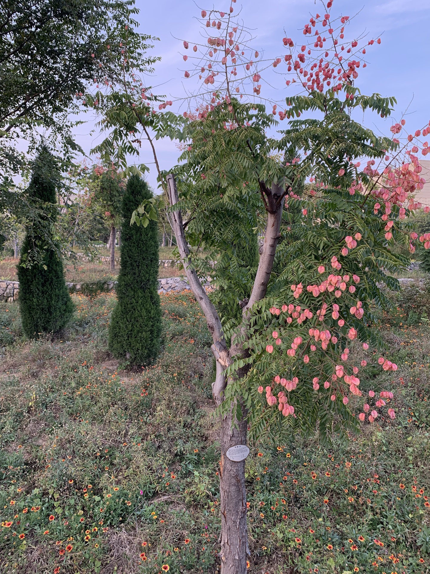 太公湖植物园