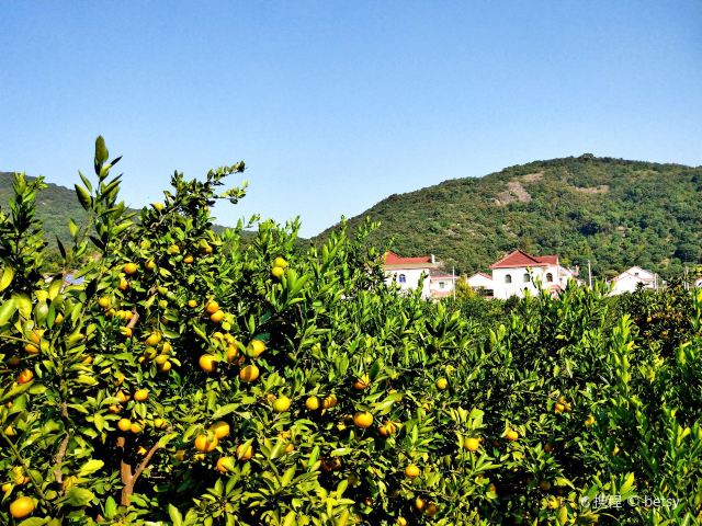 黄湾尖山村