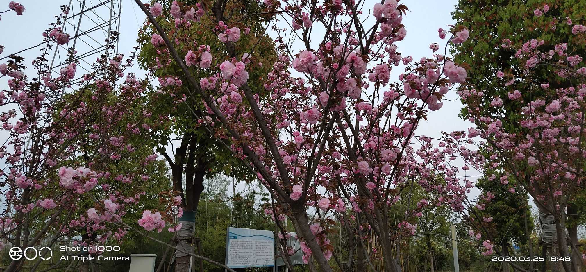 水利文化社区公园