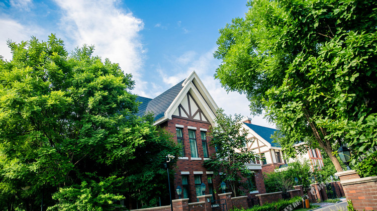 白洋淀美芦庄园1晚 临近白洋淀温泉城码头 独栋别墅 含4人/6人营养