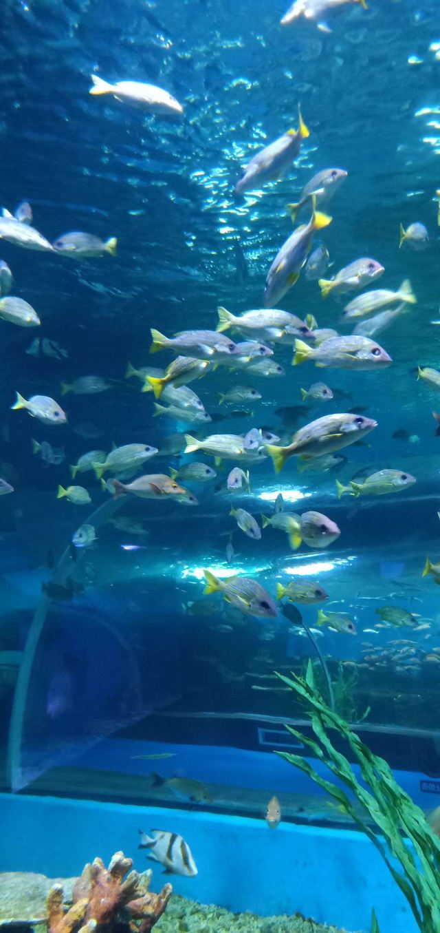 昆明花都海洋世界