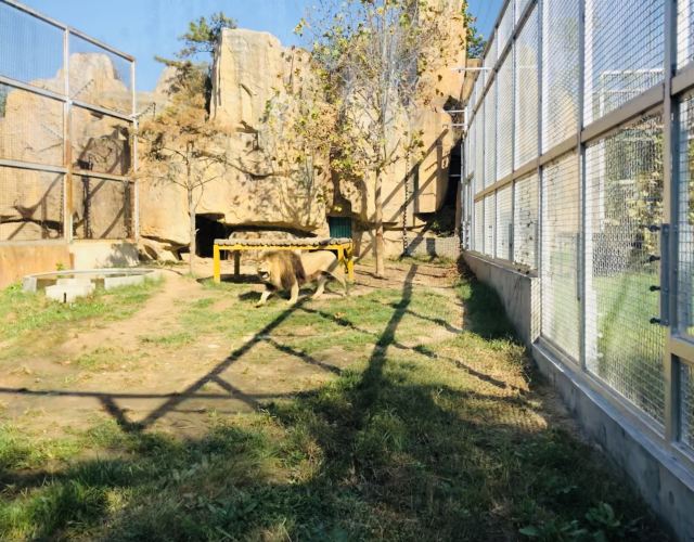 臨沂臨沂動植物園攻略,臨沂臨沂動植物園門票/遊玩攻略/地址/圖片