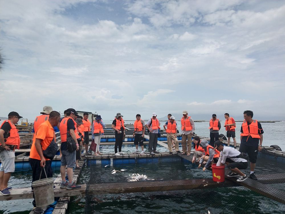 珠海香洲港到桂山岛往返船票线路推荐 携程玩乐 珠海香洲港到桂山岛往返船票线路推荐 携程玩乐