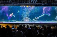 COEX水族馆-首尔