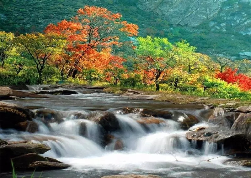 九龙湾