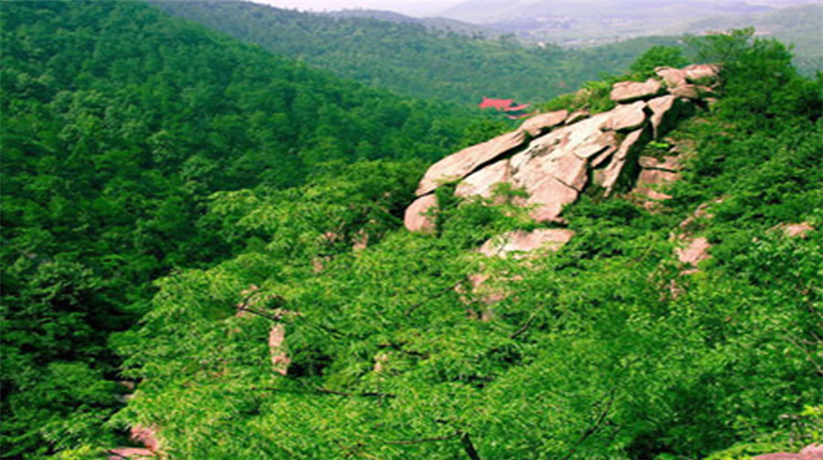 大龙山