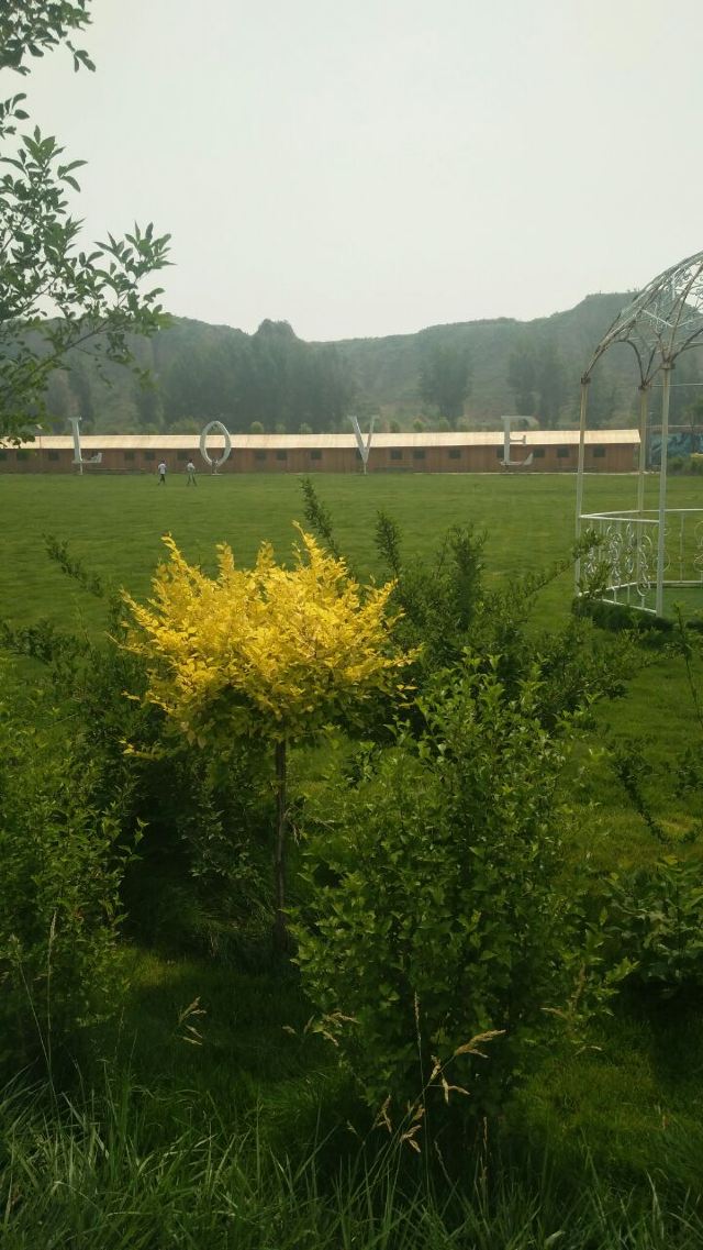 宇文河生态庄园