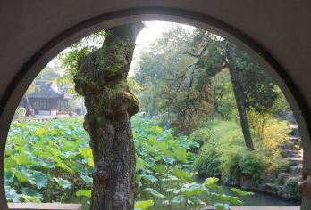 【纯玩团】苏州拙政园+寒山寺+山塘街纯玩一日游【此产品天天发班，您可以自由支配时间，随心出游】