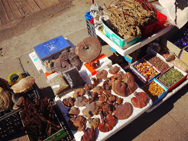 莫尔道嘎国家森林公园