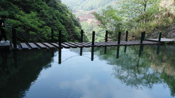 小粉蝶與小獅子的寧波,奉化兩日自駕遊