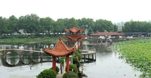 漢川汈汊湖國家溼地公園攻略-汈汊湖國家溼地公園門票價格多少錢-團購