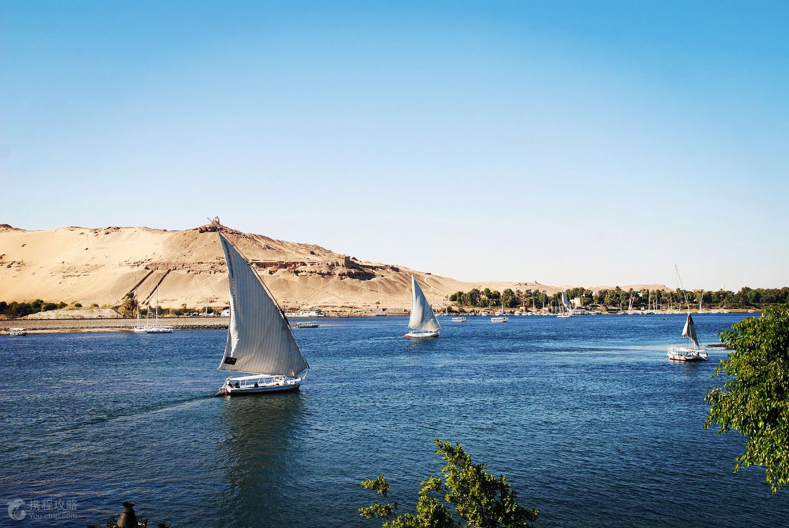 埃及开罗 红海red sea 卢克索8日5晚私家团(5钻)·希尔顿国五 wifi