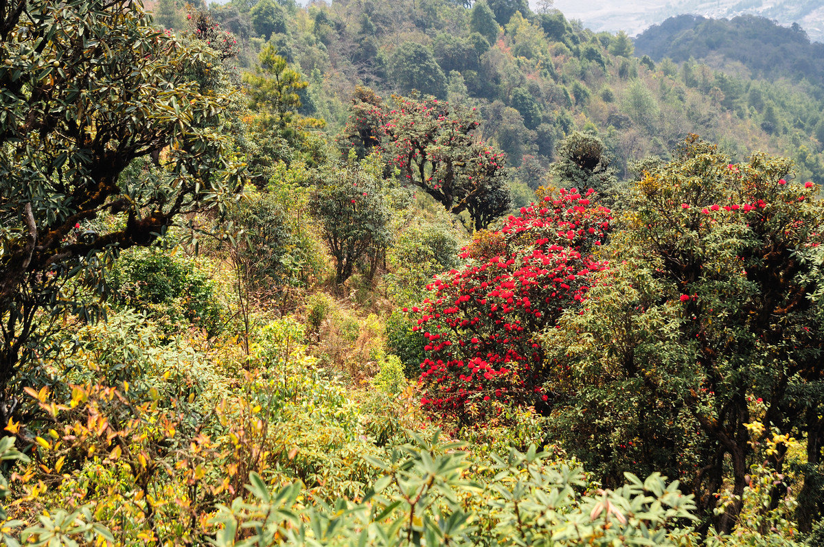 磨盘山国家森林公园,一个原始的地方!