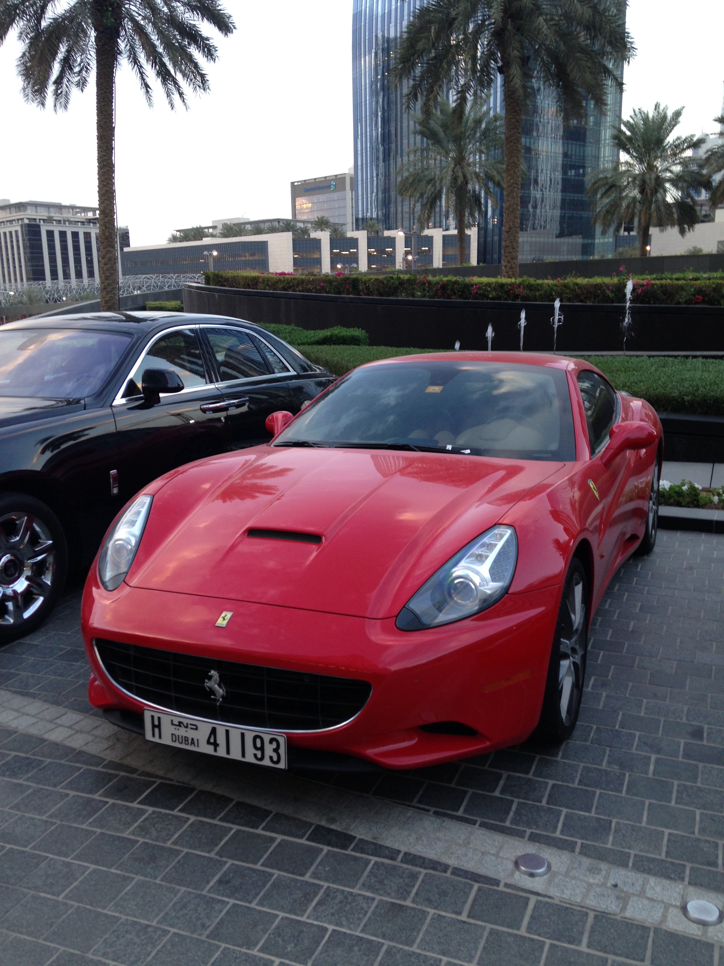 假装土豪过新年,羊羊得意游迪拜