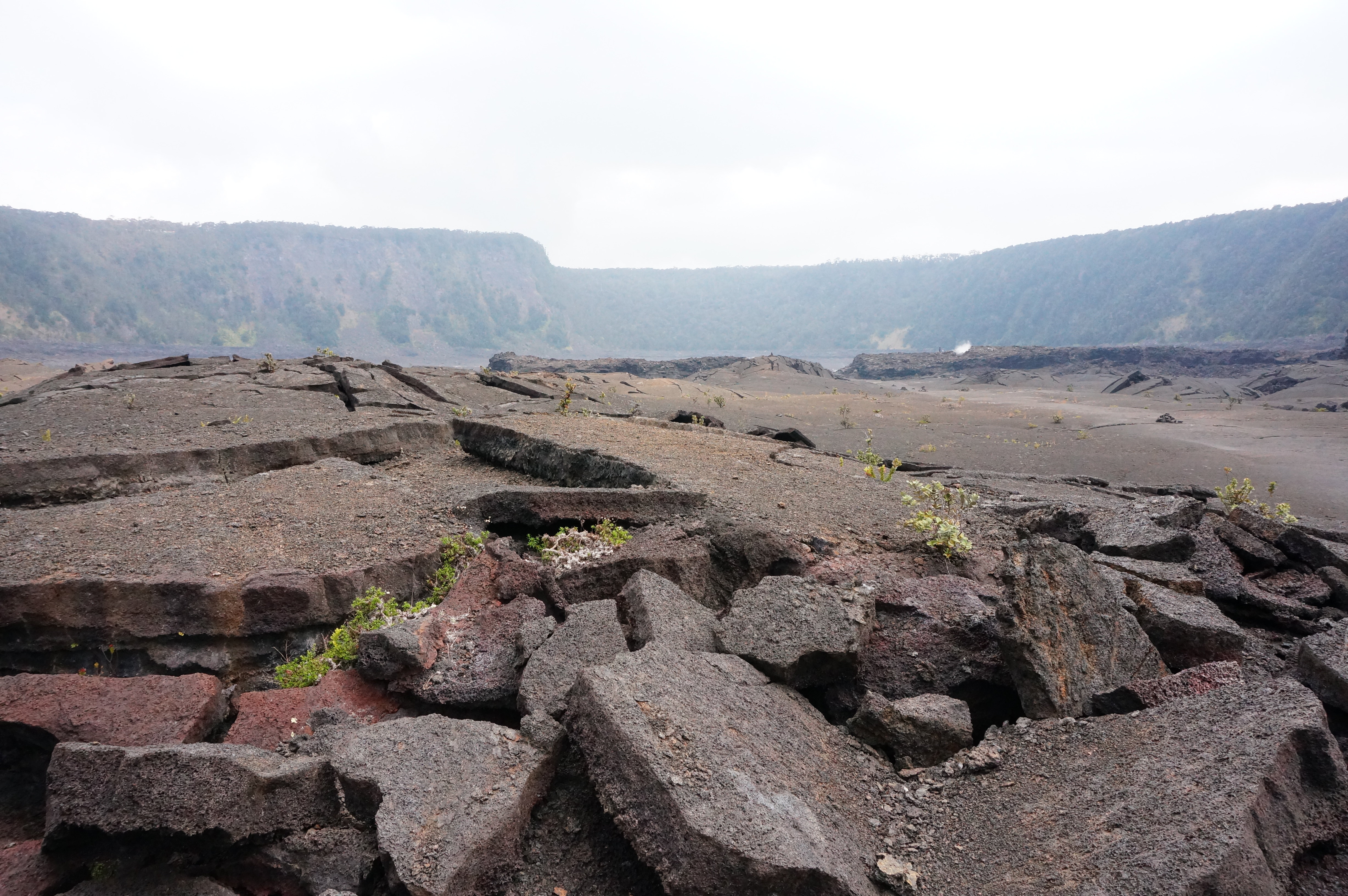 火山雨林大洋,每一天都是崭新的…青岛背包客夏威夷半月自由行(下)