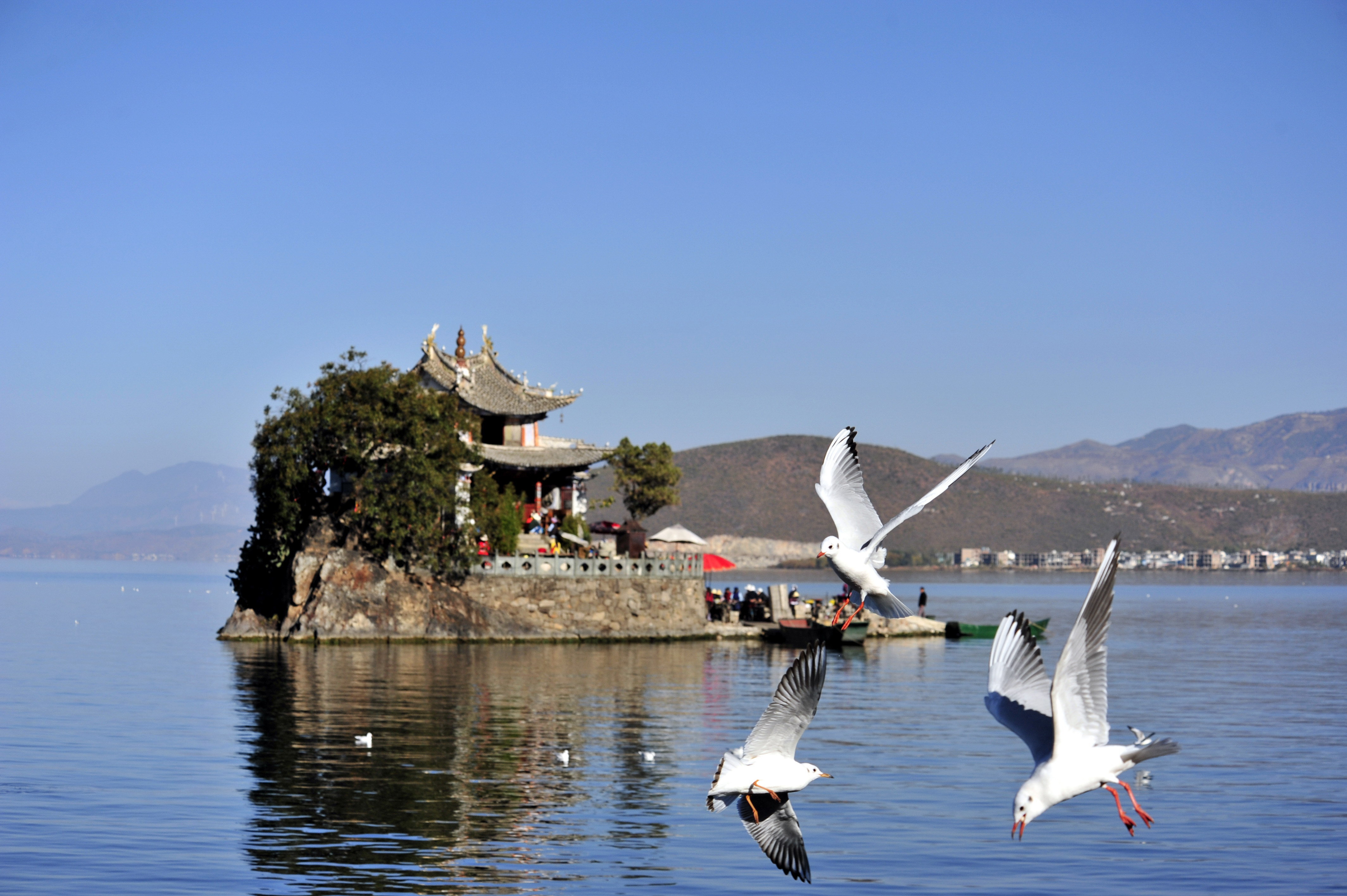 洱海图片风景图片真实图片