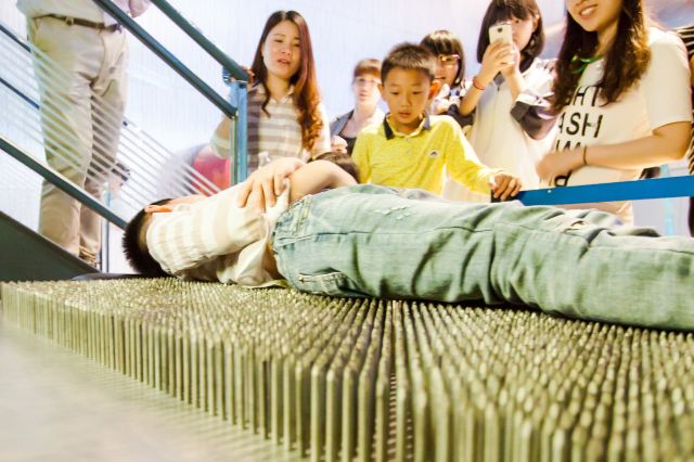 钉床,6344根钉子竖起来的时候,小马儿好勇敢