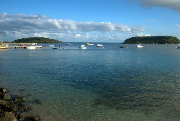 bio bay(荧光海湾),也叫bioluminescent bay或mosquito bay,它其实是